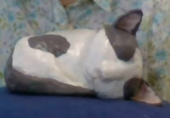 Beverly Fordyce - Sleeping Cat